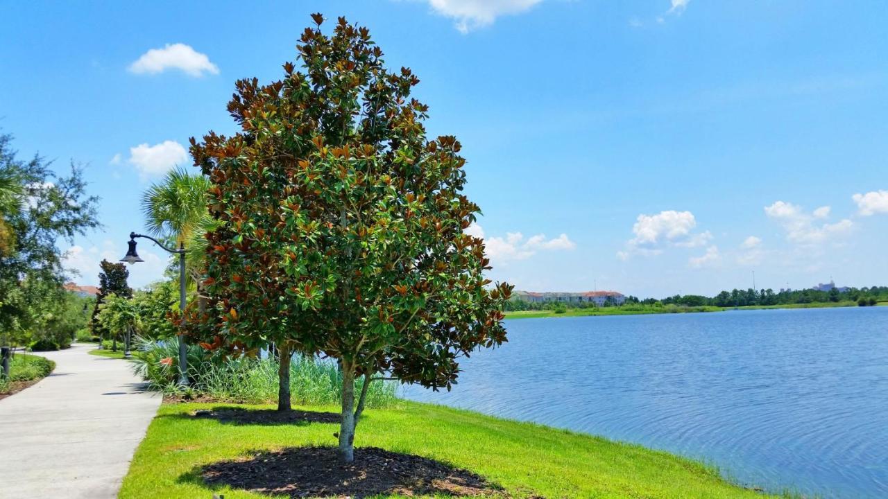 4814 Cayview Avenue #401 Διαμέρισμα Ορλάντο Εξωτερικό φωτογραφία